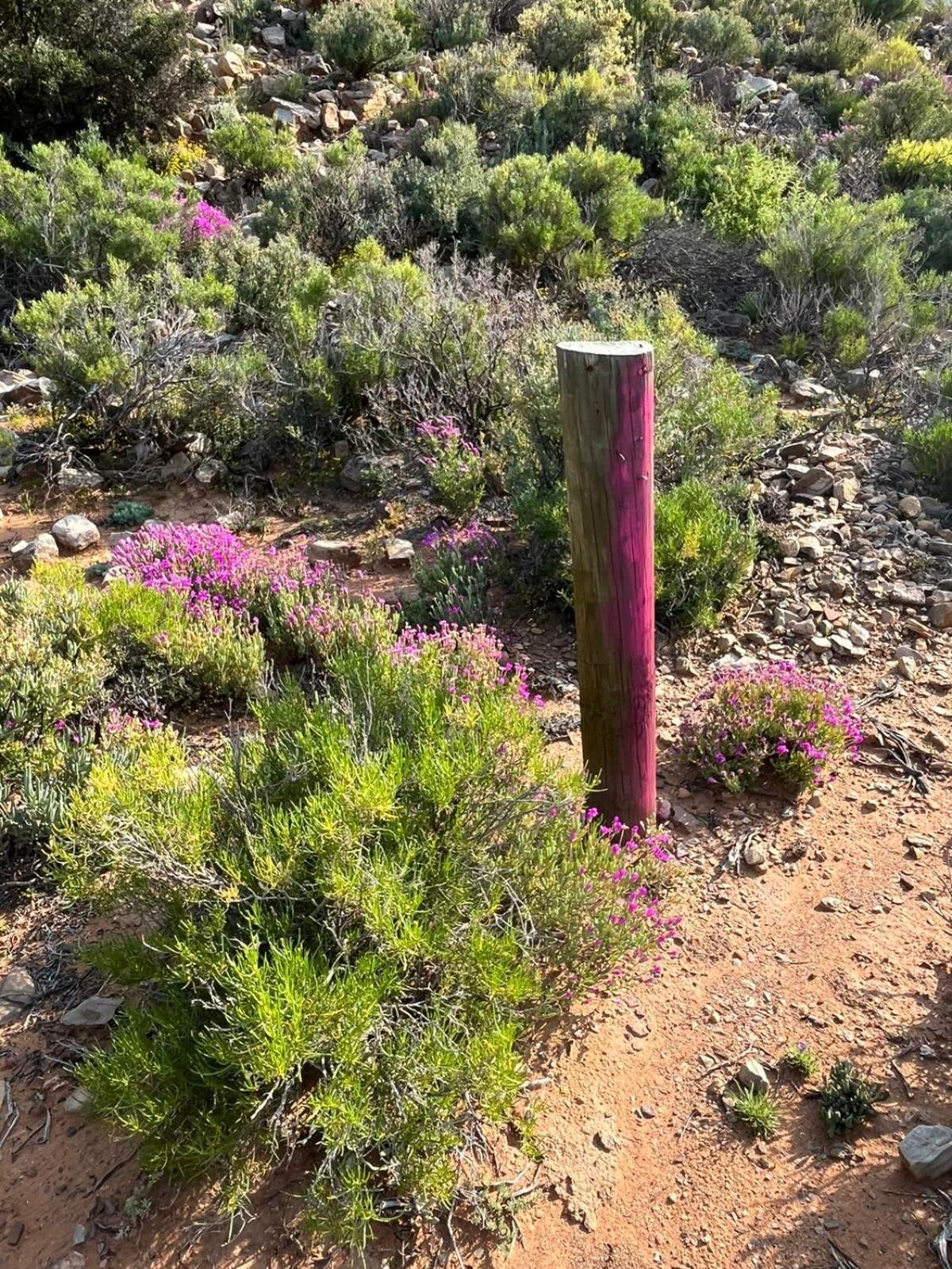 Bushman Valley Aparthotel Prince Albert Εξωτερικό φωτογραφία